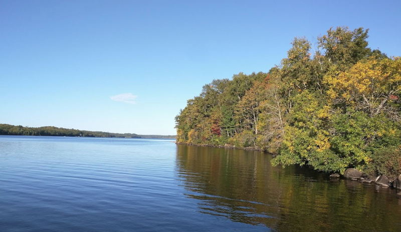 Maple Ridge Resort (Rose-Art Lodge) - From Website